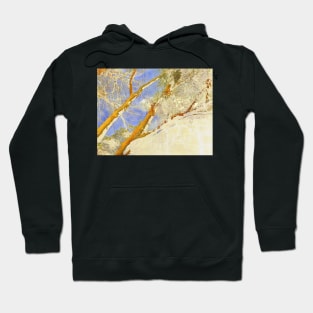 inheritance... Hoodie